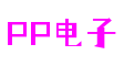 山东省烟台市PP电子科技咨询有限公司